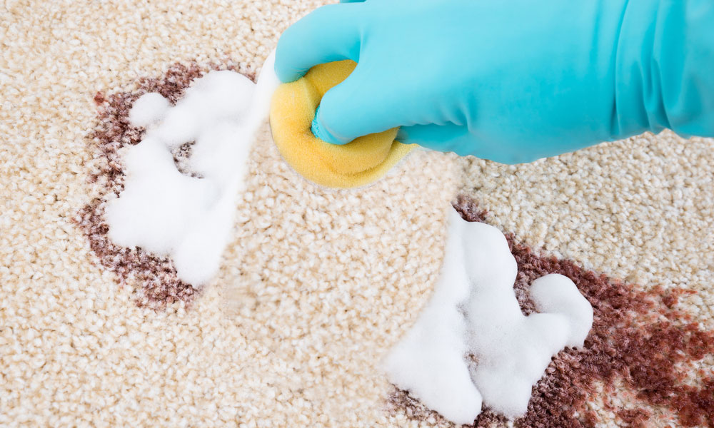 GES Clean – Professional and Reliable Cleaning Services