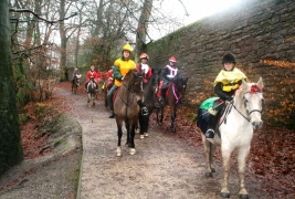 Stables