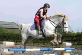 Stables