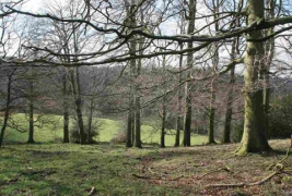 Stables