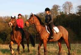 Stables