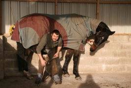 Stables