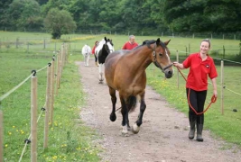 Stables