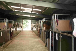 Stables