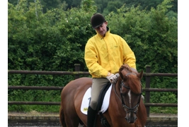 Stables