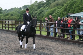 Stables