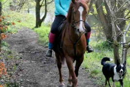 Bridleway2