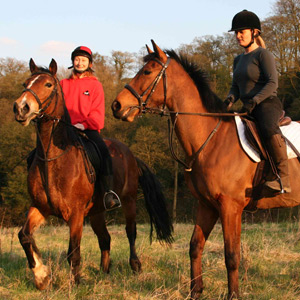 Stables Marple
