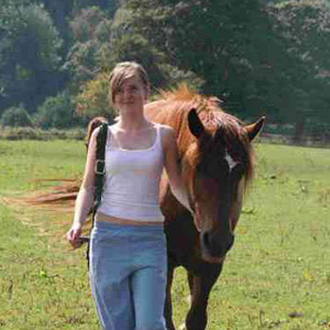 Stables Marple