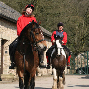Stables Marple
