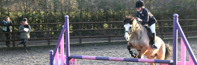 Lower Dale Farm Equestrian Centre