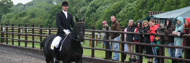 Lower Dale Farm Equestrian Centre